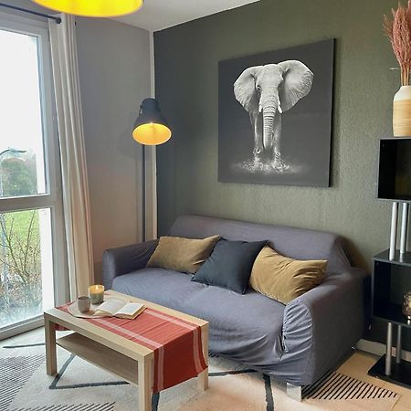 Le Colorado - Appartement Proche Airbus โคโลมิเยร์ส ภายนอก รูปภาพ