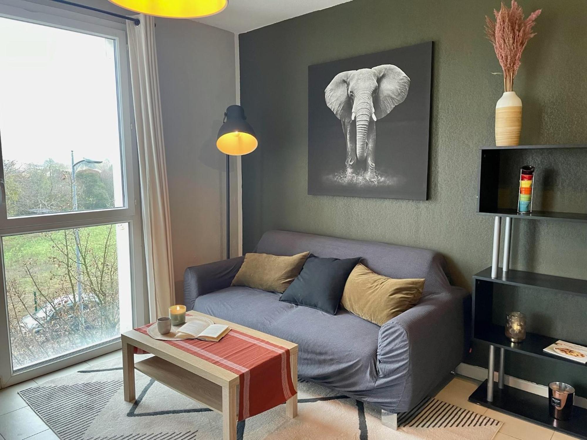 Le Colorado - Appartement Proche Airbus โคโลมิเยร์ส ภายนอก รูปภาพ